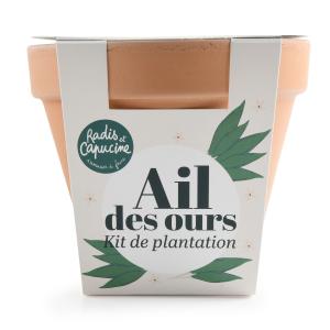 Kit Ail des Ours - Pot en Terre Cuite Antique - 13 cm